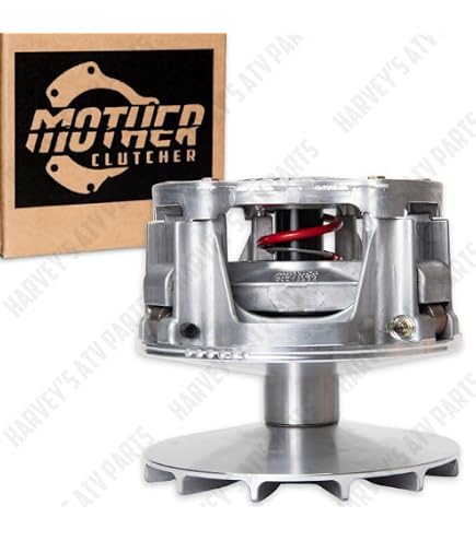 Amazon.com: Caltric 1520836 Primary Clutch One Way Bearing EBS